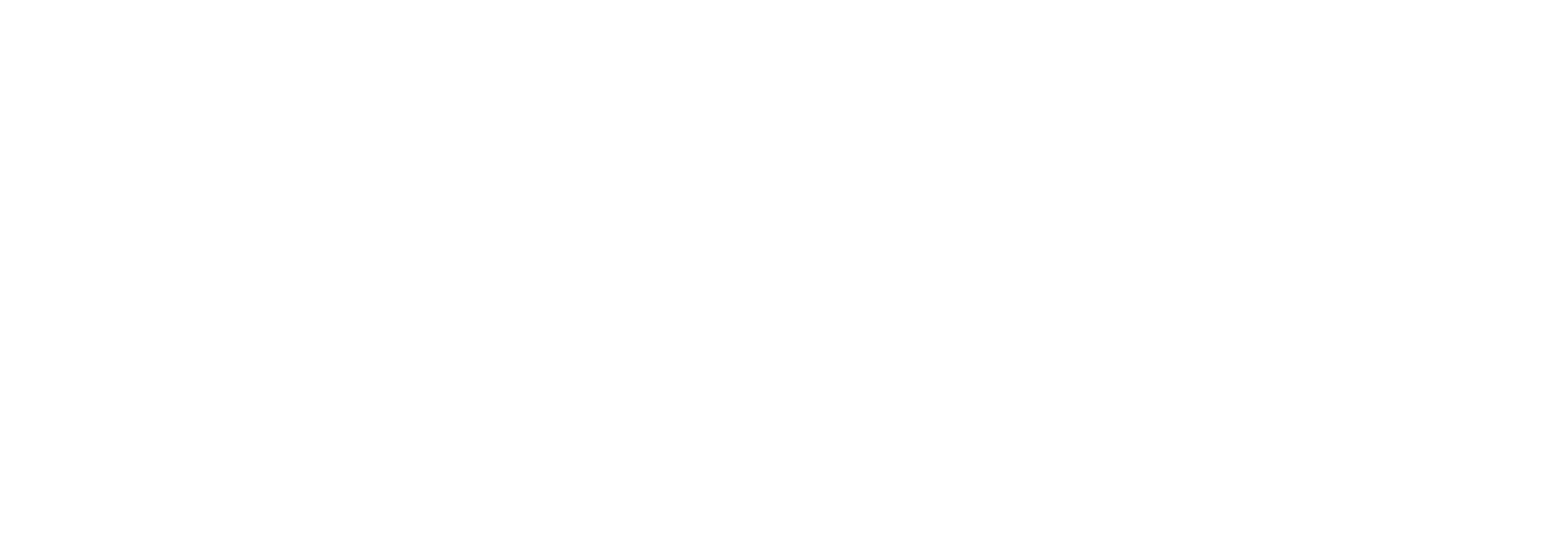 Logo licence uca blanc